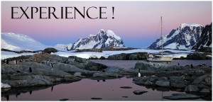 Antarctic Expeditions: 2014 Antarctica Photo Tour - The Ultimate Antarctica Experience