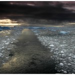 BulsBay7
