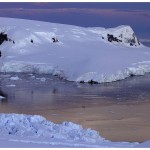 BulsBayEuronavBelgica