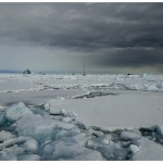 EuronavBelgicaHanusseBay