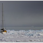 EuronavBelgicaHanusseBay2