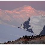 MountFrancois&Penguins