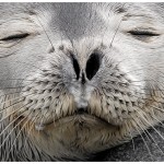Sleeping