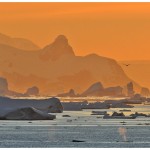 x-IcebergSunset&Whales