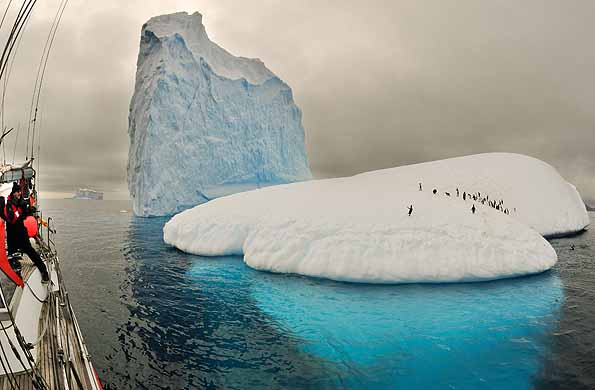D - Iceberg Penguin Photography - Photo (c) Laurent Dick - Sailantarctica