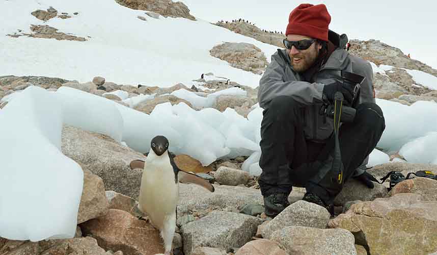 Sailing antarctica | pictures of penguins